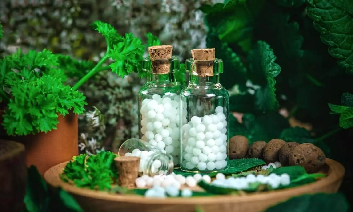 Homoeopathy trusted for low side effects, treating symptoms at low cost: Dr Mukesh Batra Homoeopathy trusted for low side effects, treating symptoms at low cost: Dr Mukesh Batra