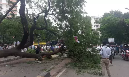 TGSPDCL gears up for monsoon, orders tree trimming to prevent power cuts