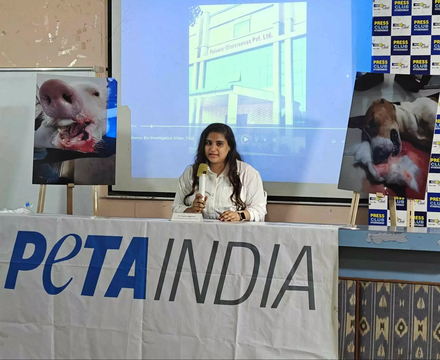 Stuffed in cages, wounded dogs: PETA accuses Palamur Biosciences in Telangana of animal cruelty Stuffed in cages, wounded dogs: PETA accuses Palamur Biosciences in Telangana of animal cruelty