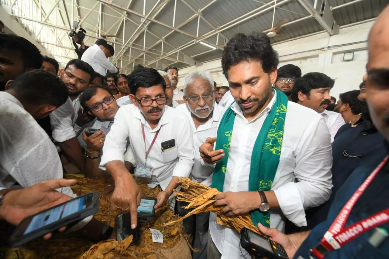 Jagan blames AP govt inaction for tobacco farmers’ suicides, demands inclusion of Markfed into auction Jagan blames AP govt inaction for tobacco farmers’ suicides, demands inclusion of Markfed into auction