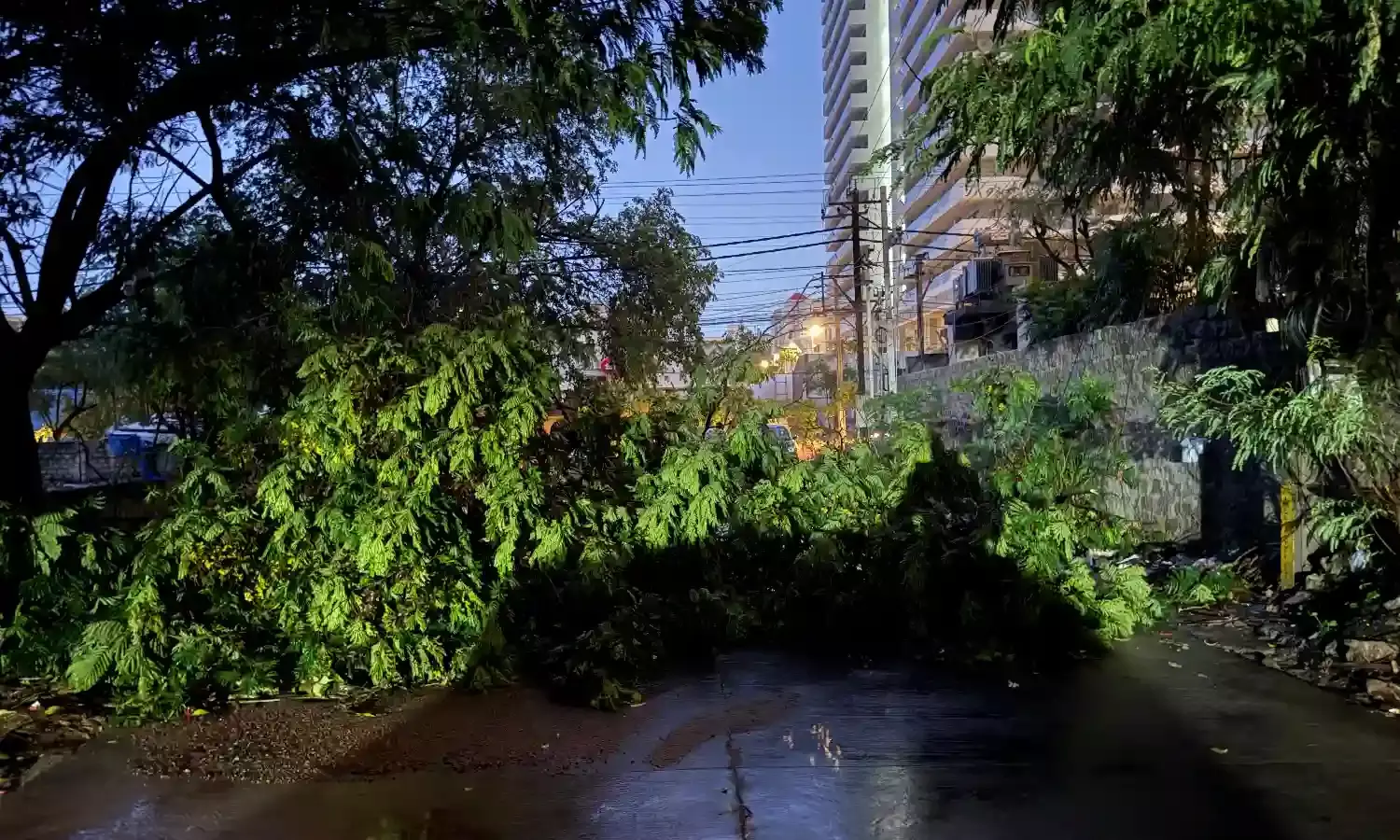 Hyderabad receives heavy rainfall, UoH records highest of 148.5 mm;  meteorologists  say no cloudburst occurred