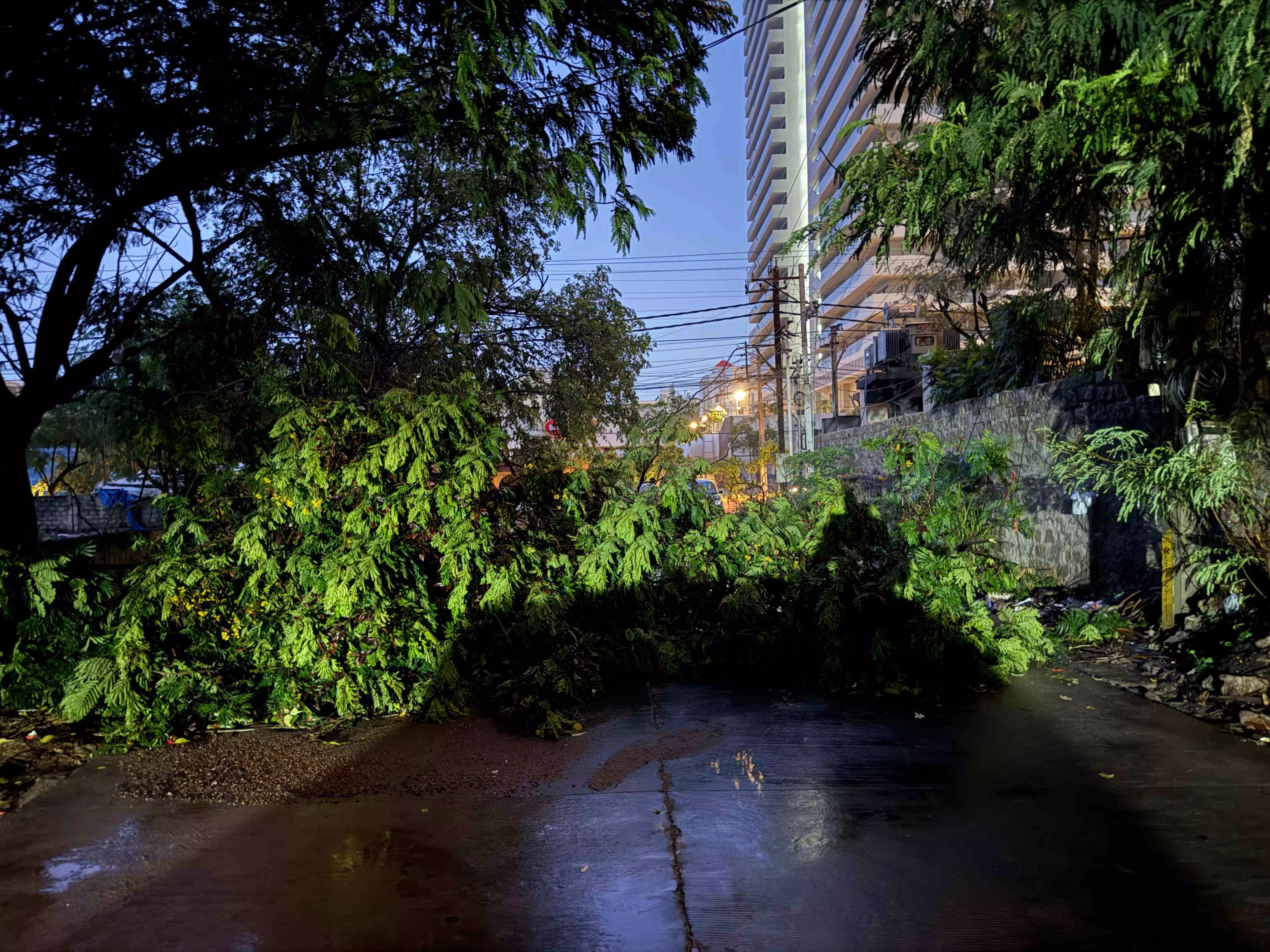 Hyderabad receives heavy rainfall, UoH records highest of 148.5 mm; meteorologists say no cloudburst occurred Hyderabad receives heavy rainfall, UoH records highest of 148.5 mm; meteorologists say no cloudburst occurred