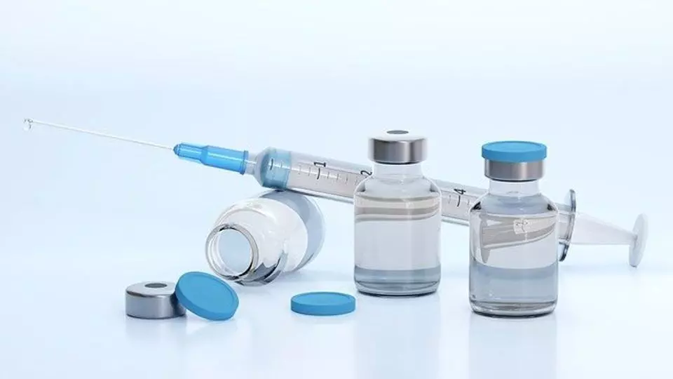 Bharat Biotech partners with GSK to further develop Shigella vaccine candidate altSonflex1-2-3 Bharat Biotech partners with GSK to further develop Shigella vaccine candidate altSonflex1-2-3