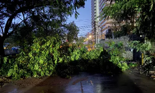 Hyderabad receives heavy rainfall, UoH records highest of 148.5 mm;  meteorologists  say no cloudburst occurred