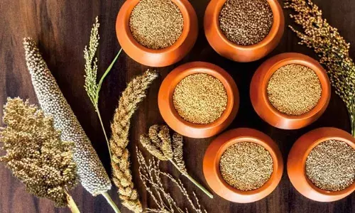 āShri Annaā initiative: CISF leads by example as millets make up 30% of security forceās meals