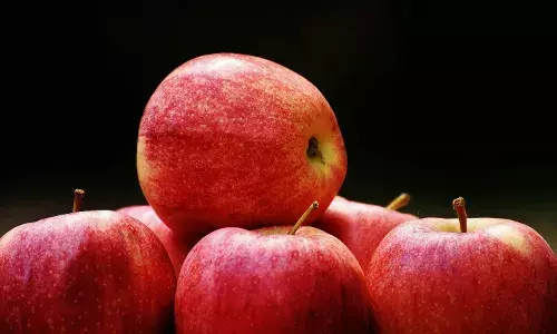 Snacks, brownies, raita, cake…: How to make delicious apple dishes at home this season