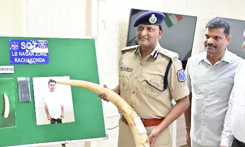 Andhra man held in LB Nagar for smuggling elephant tusks worth Rs 3 Cr