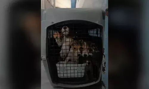 Palamur Biosciences in Telangana under fire for housing over 1,200 animals; rehabilitation ordered