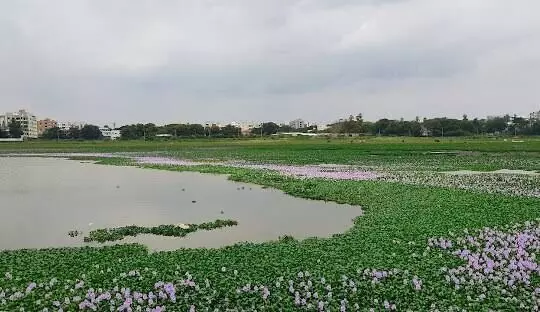 Hyderabad: 1/3 of Yapral’s Nagireddy Kunta Lake lost to encroachments; flood risk increases Hyderabad: 1/3 of Yapral’s Nagireddy Kunta Lake lost to encroachments; flood risk increases