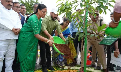 CM Revanth, Vana Mahotsavam