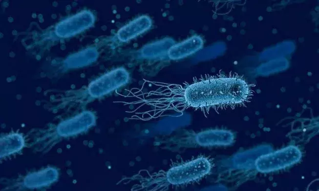 Hyderabad: CSIR-CCMB researchers discover new mechanism in bacteria; can help in drug development