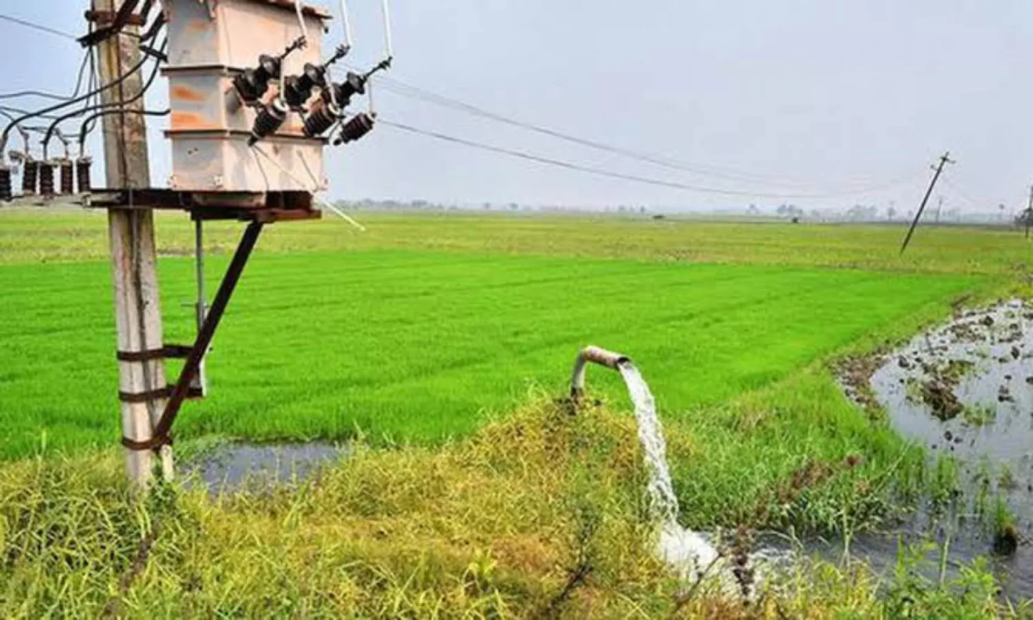 Telangana sees 14% surge in power demand as Kharif season peaks Telangana sees 14% surge in power demand as Kharif season peaks