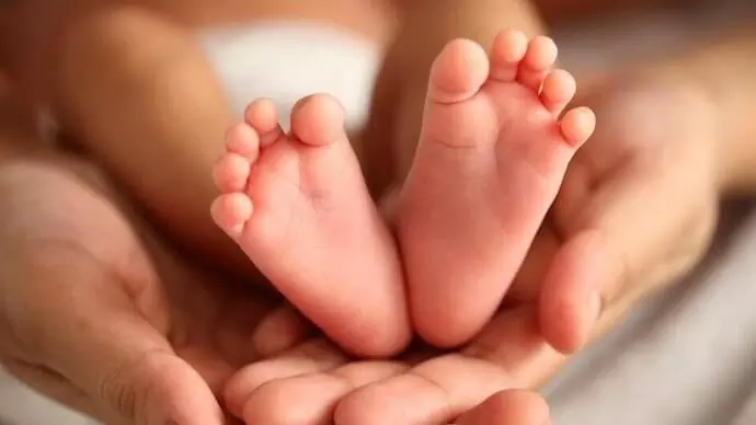 ‘Srushti’ surrogacy racket fallout: Telangana cracks down on illegal fertility clinics across state ‘Srushti’ surrogacy racket fallout: Telangana cracks down on illegal fertility clinics across state