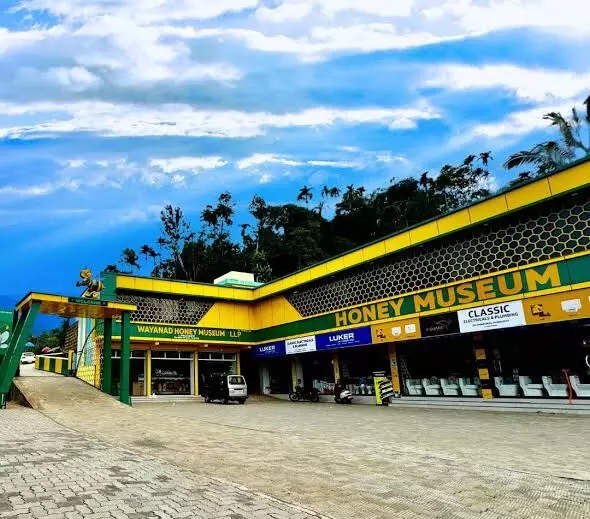 `Sidr, Tulsi, Jamun, Lychee, Ginger, Garlic’: A sneak peek into Asia’s largest honey museum `Sidr, Tulsi, Jamun, Lychee, Ginger, Garlic’: A sneak peek into Asia’s largest honey museum
