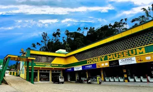 `Sidr, Tulsi, Jamun, Lychee, Ginger, Garlicā: A sneak peek into Asiaās largest honey museum