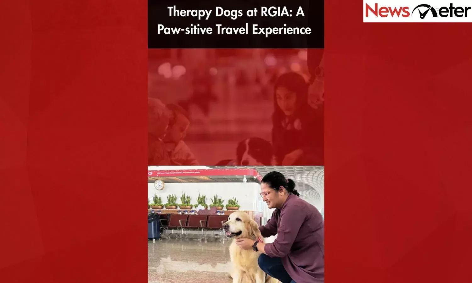 Therapy Dogs at RGIA: A Paw-sitive Travel Experience