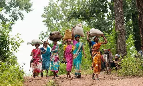 Roads, wildlife, and connectivity: Telangana govt charts roadmap to protect tribalsā welfare