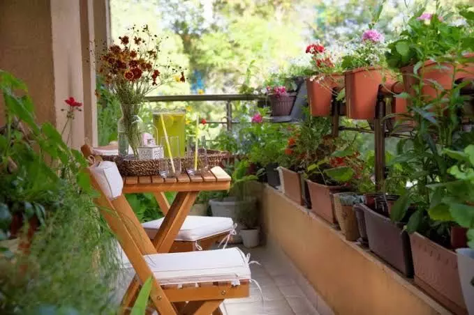 Hyderabad’s urban dwellers turn to balcony gardening as green therapy Hyderabad’s urban dwellers turn to balcony gardening as green therapy
