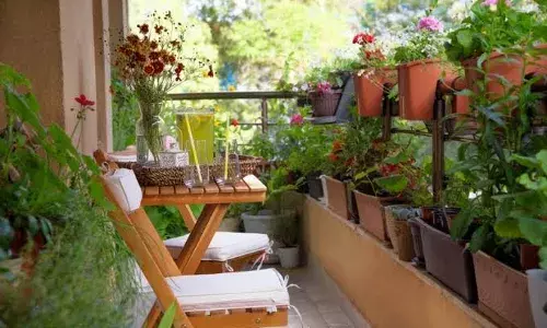 Hyderabadās urban dwellers turn to balcony gardening as green therapy