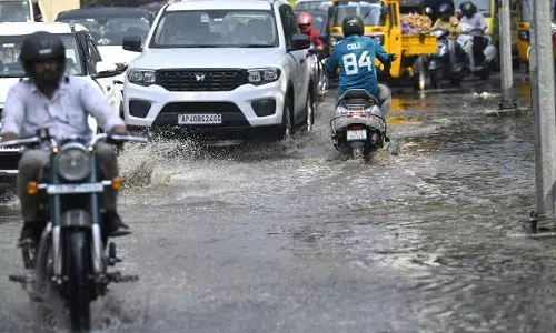 Telangana Health Alert: Monsoon conditions could fuel vector- and water-borne illnesses