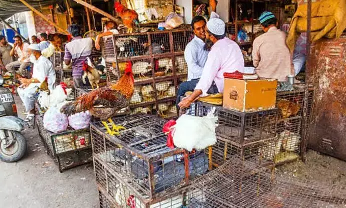 GHMC orders closure of slaughterhouses, beef shops on I-Day, Janmashtami; HC asked to intervene