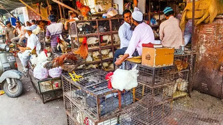 GHMC orders closure of slaughterhouses, beef shops on I-Day, Janmashtami; HC asked to intervene GHMC orders closure of slaughterhouses, beef shops on I-Day, Janmashtami; HC asked to intervene