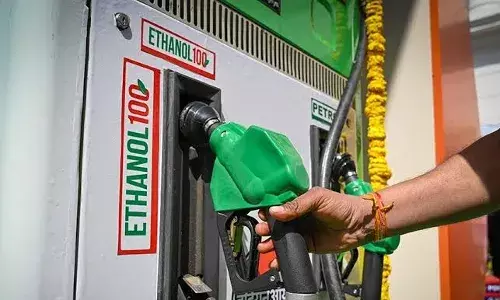 Explained: All you need to know about E20 fuel and the buzz around it