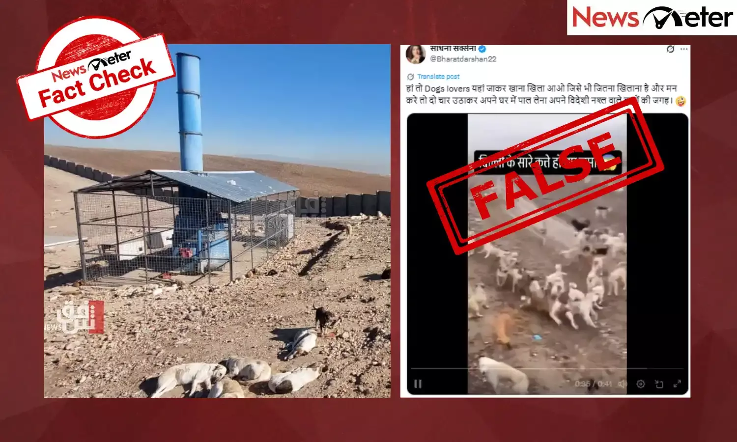 Fact Check: Delhi stray dogs locked in shelter after court order? No, video is from Iraq
