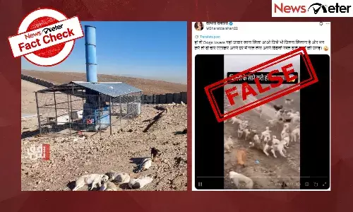 Fact Check: Delhi stray dogs locked in shelter after court order? No, video is from Iraq