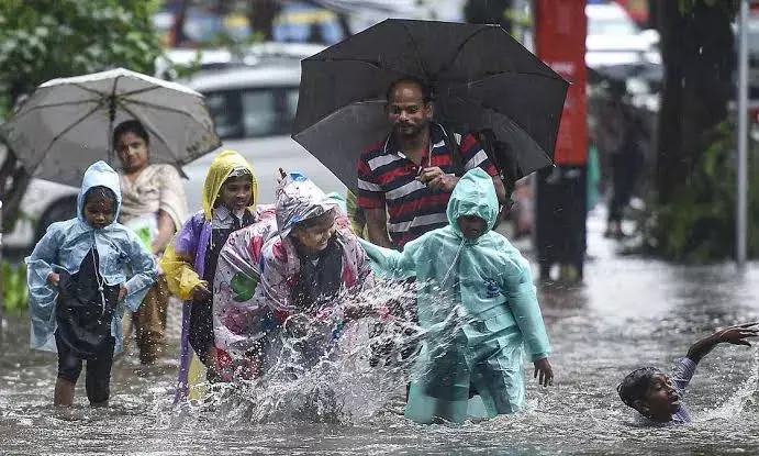 Heavy rains lash Telangana; Siddipet, Kamareddy, Medak record over 200 mm