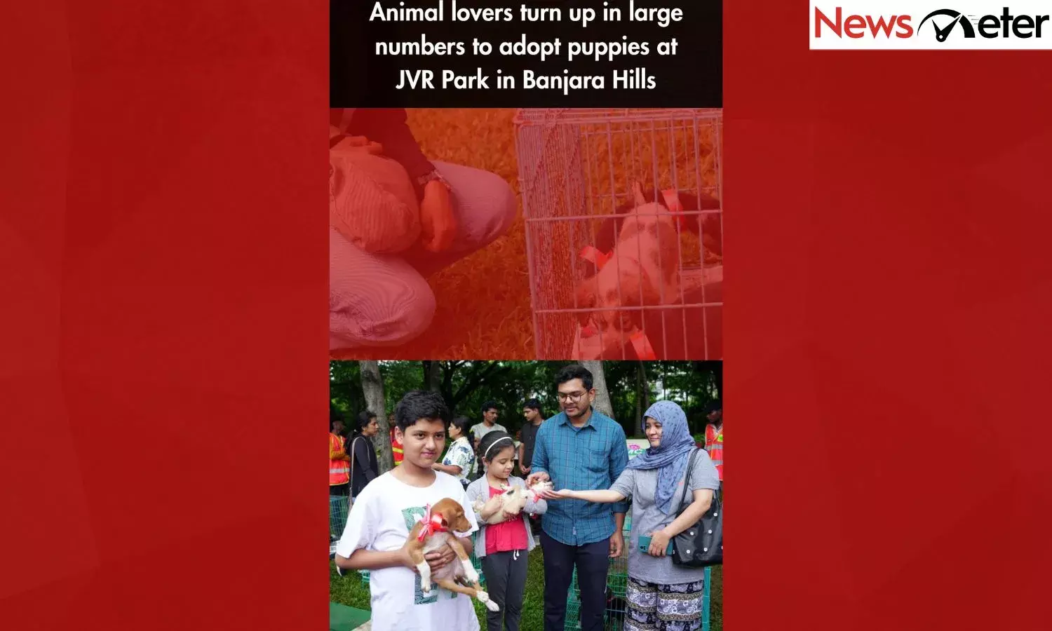 Animal lovers turn up in large numbers to adopt puppies at JVR Park in Banjara Hills