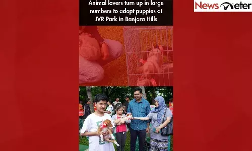 Animal lovers turn up in large numbers to adopt puppies at JVR Park in Banjara Hills