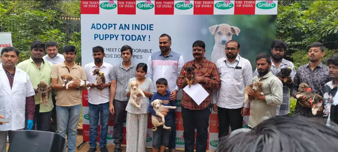 22 indie puppies find homes at GHMC’s second adoption drive at KBR Park 22 indie puppies find homes at GHMC’s second adoption drive at KBR Park