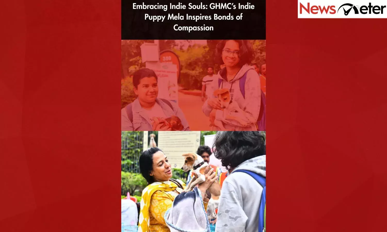 Embracing Indie Souls: GHMC’s Indie Puppy Mela Inspires Bonds of Compassion