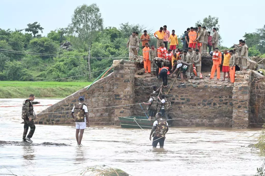 Telangana floods: 1,023 km roads damaged, crops over 2.36L acres wiped out Telangana floods: 1,023 km roads damaged, crops over 2.36L acres wiped out