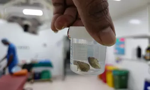 Hyderabad: How Robo-Lap 2025 provided a platform to 1000 global doctors to discuss robotics in urology