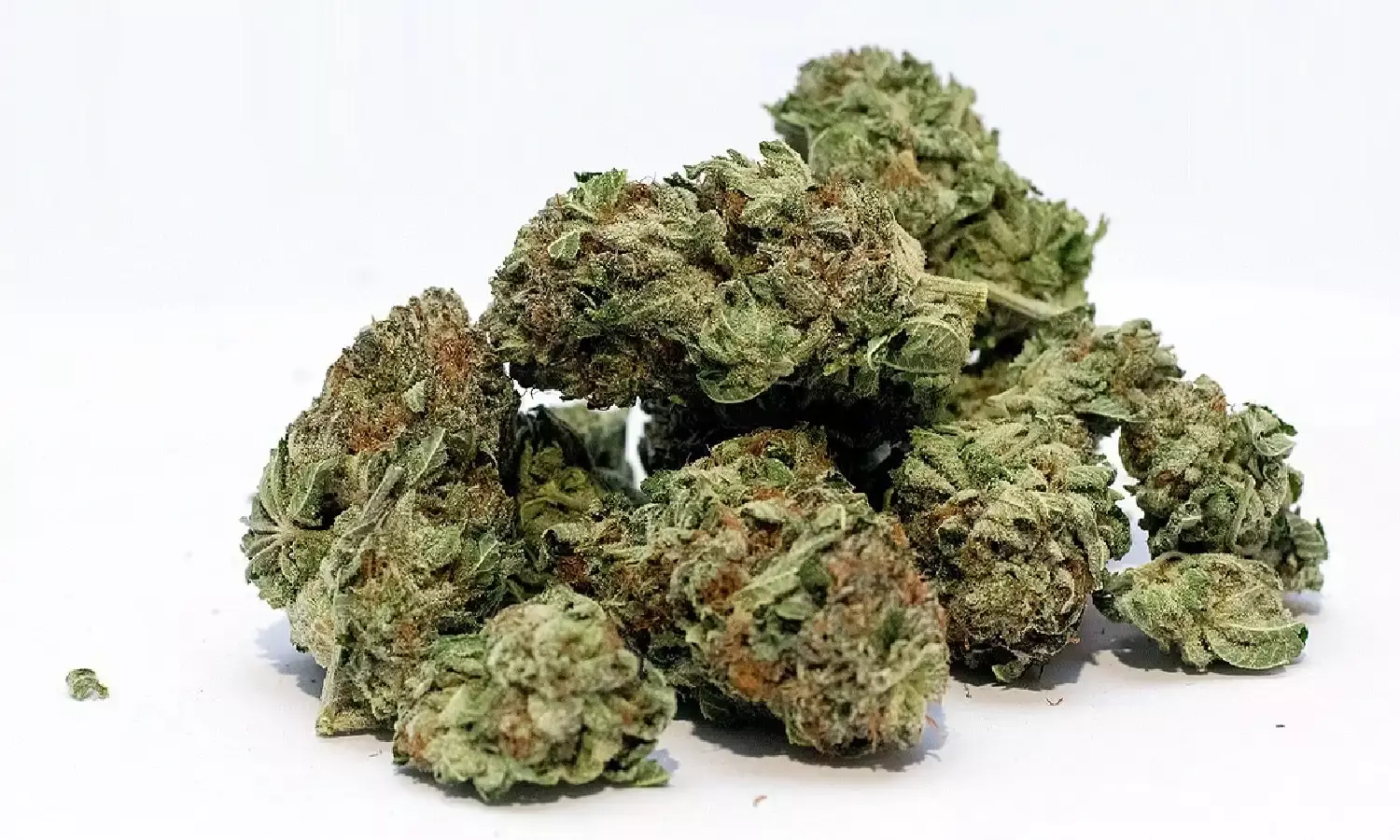 Hyderabad: Engineering student doubles up as drug peddler in Mokila, held;  300 grams ganja seized