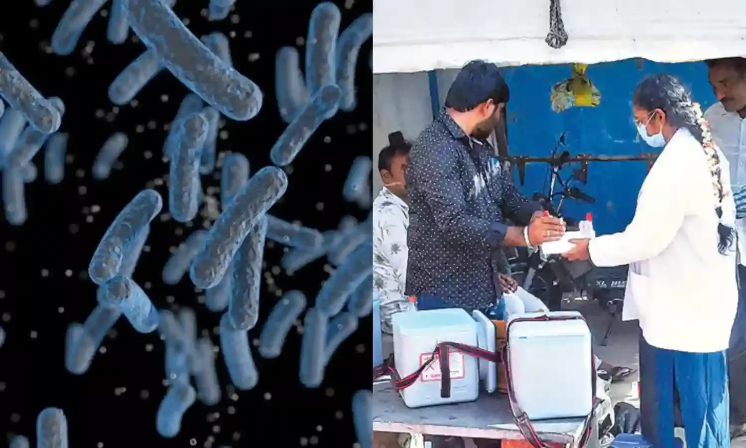 Melioidosis outbreak: Andhra wakes up after 20 deaths, declares health emergency in Turakapalem