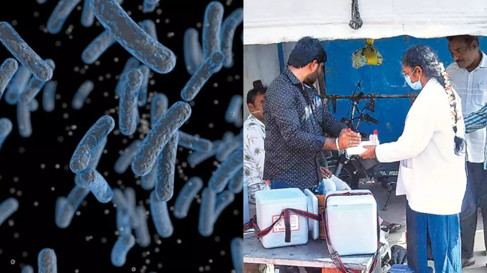 Melioidosis outbreak: Andhra wakes up after 20 deaths, declares health emergency in Turakapalem Melioidosis outbreak: Andhra wakes up after 20 deaths, declares health emergency in Turakapalem
