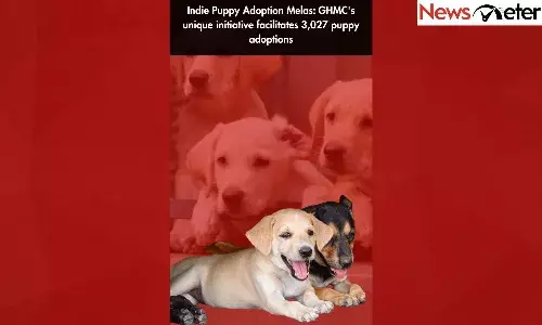 Indie Puppy Adoption Melas: GHMCs unique initiative facilitates 3,027 puppy adoptions