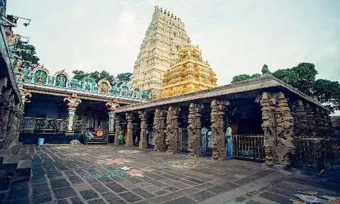 Andhra plans to develop Srisailam temple, proposes to transfer 2000 hectares of forest land