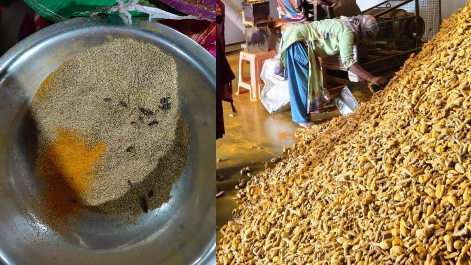 Food safety alarm: Telangana authorities detect rodent infestations in spices Food safety alarm: Telangana authorities detect rodent infestations in spices
