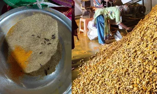 Food safety alarm: Telangana authorities detect rodent infestations in spices