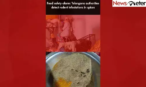 Food Safety Alarm: Telangana authorities detect rodent infestations in spices