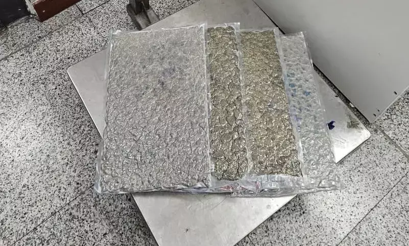 Hyderabad DRI intercepts 4.15 kg of hydroponic cannabis at RGIA, passenger arrested