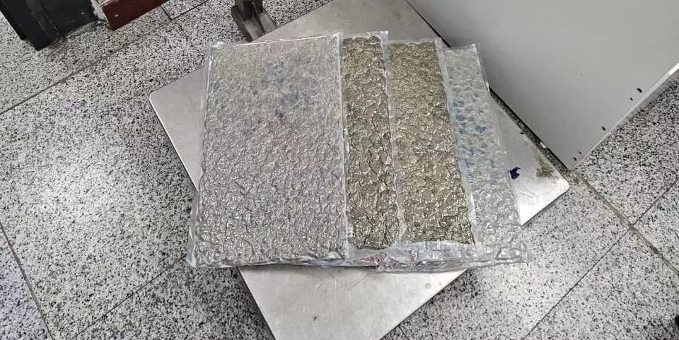 Hyderabad DRI intercepts 4.15 kg of hydroponic cannabis at RGIA, passenger arrested Hyderabad DRI intercepts 4.15 kg of hydroponic cannabis at RGIA, passenger arrested