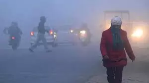 3,639 deaths due to cold waves in four years; NHRC urges States to protect poor, elderly, homeless 3,639 deaths due to cold waves in four years; NHRC urges States to protect poor, elderly, homeless