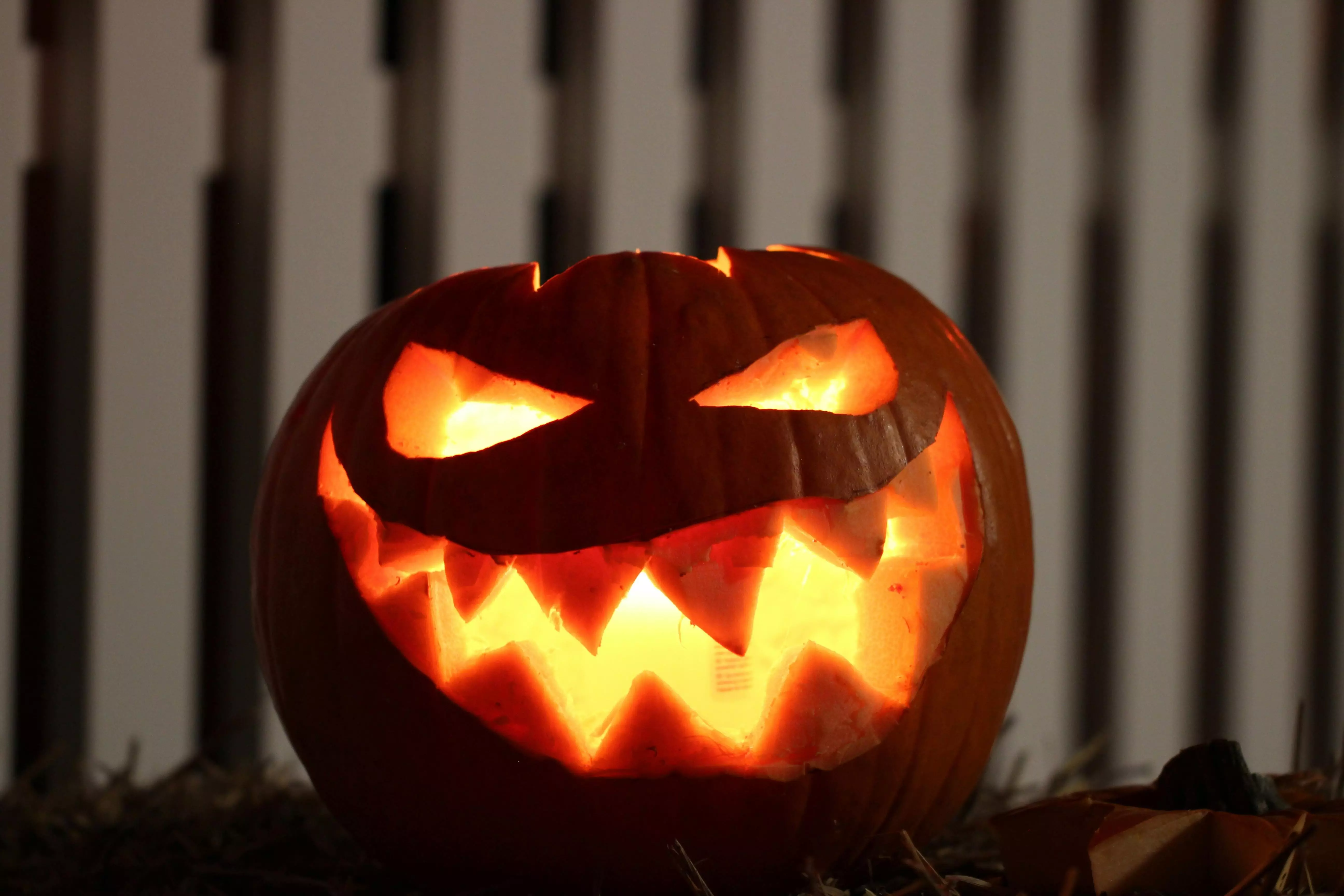 Why we celebrate Halloween with costumes, candy and scary movies