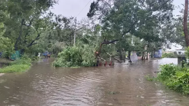Telangana on high alert: CM Revanth orders full preparedness for Cyclone Montha rains and flooding Telangana on high alert: CM Revanth orders full preparedness for Cyclone Montha rains and flooding