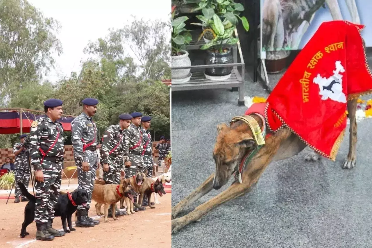 Hyderabad to host India’s first-ever National Canine Bravery Awards honouring heroic service dogs Hyderabad to host India’s first-ever National Canine Bravery Awards honouring heroic service dogs
